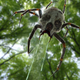Illustration for article titled If Enemies From Zelda Were Real
